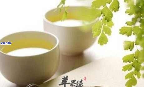 肝宝茶的作用是什么-肝宝的功效与作用