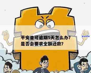 平安汽融逾期五天怎么办，平安汽融逾期五天：如何应对？