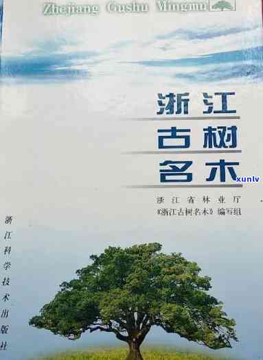 江古树名木名录pdf，查阅江古树名木详细信息：《江古树名木名录》PDF版