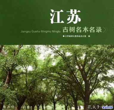 江古树名木名录pdf，查阅江古树名木详细信息：《江古树名木名录》PDF版