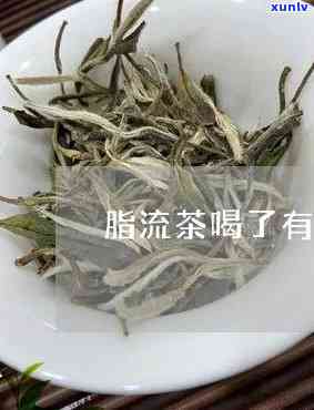 脂流茶的作用是什么-脂流茶有什么作用