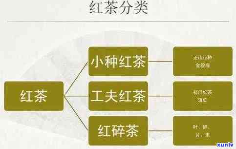 全面了解岭红茶：价格、图片及价格表一览