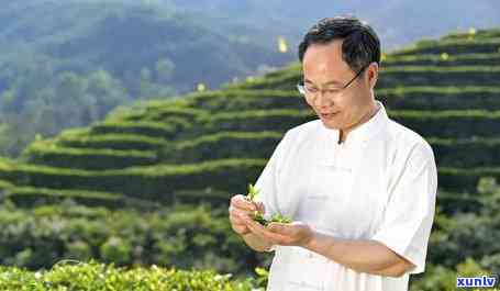 汉中红茶价格和图片-汉中红茶价格和图片及价格