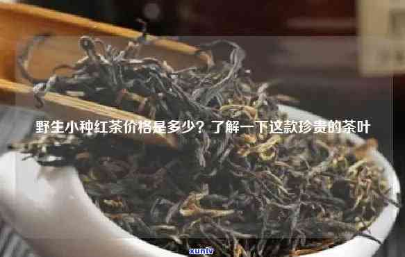 野茶红茶价格多少？野生红茶贵吗？每斤价格是多少？