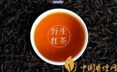 野茶红茶价格多少？野生红茶贵吗？每斤价格是多少？