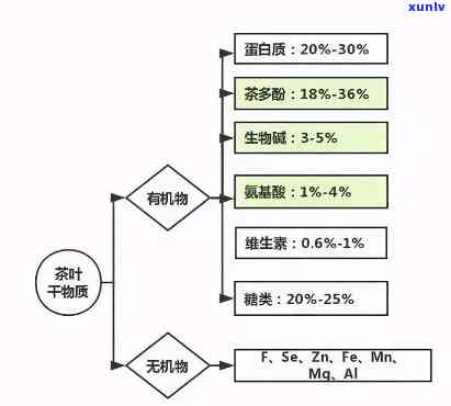 茶的提神因子是什么？详解其成分与作用机制