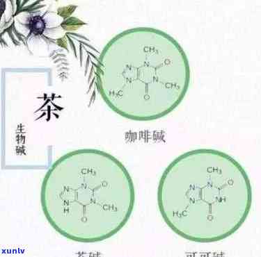 茶的活性指的是什么呢，探秘茶的活性：理解茶叶中的生物活性物质及其作用机制