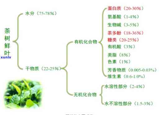 茶叶中的生物活性成分，揭示茶叶的健奥秘：探索生物活性成分的作用与功效