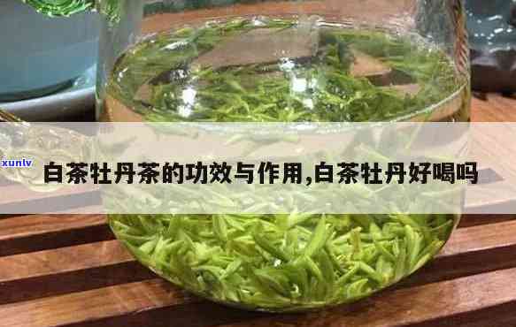 牡丹茶的作用是什么-牡丹茶的作用是什么呢