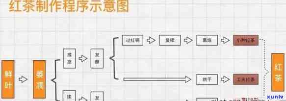 红茶的初制工艺主要包括萎凋、揉捻、发酵和烘干等工艺