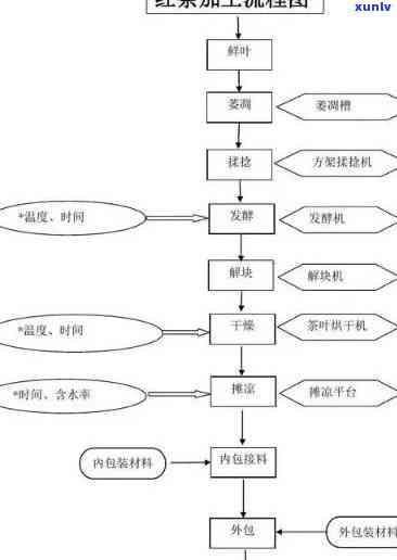 红茶的初制工艺包括：萎凋、揉捻、发酵、烘干等过程，详细解析其工艺流程与内容