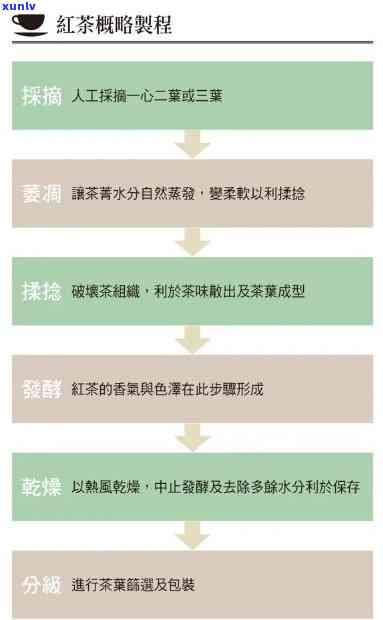 红茶的初制工艺包括：萎凋、揉捻、发酵、烘干等过程，详细解析其工艺流程与内容