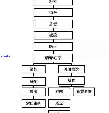 红茶初制工艺流程图，详解红茶初制工艺流程图：从采摘到烘焙的全过程