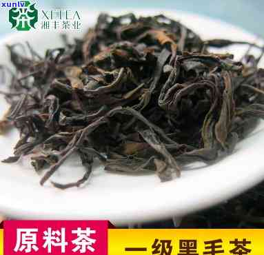 一级黑毛茶价格多少钱，「一级黑毛茶价格」多少钱？带你了解市场价格走势！