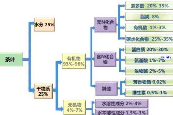 茶的三大主要成分与功效是什么，揭秘茶的三大主要成分及其神奇功效！