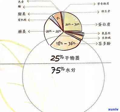 茶的主要成分及其作用：揭示茶叶背后的健益处