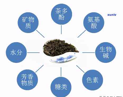 茶的三大成分是什么-茶的三大成分是什么意思