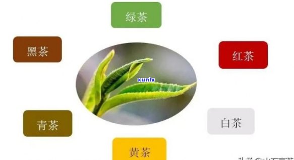 茶的三大成分是什么-茶的三大成分是什么意思