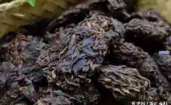 孩子可以喝老茶头吗？对身体有影响吗？专家解析视频