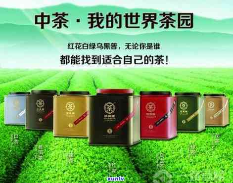 中茶70周年保国茶-中茶保国茶价格