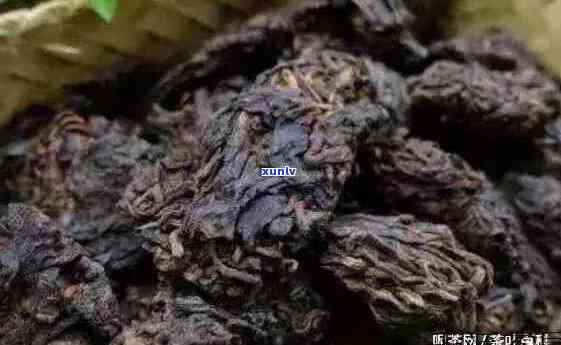 老茶头可以隔夜喝吗有吗，解惑：老茶头能否隔夜饮用？是否含有性成分？