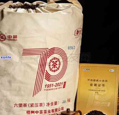 中茶70周年念茶六堡茶，庆中茶成立70周年，特别推出念款六堡茶！