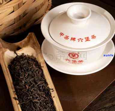 中茶70周年念茶六堡茶，庆中茶成立70周年，特别推出念款六堡茶！