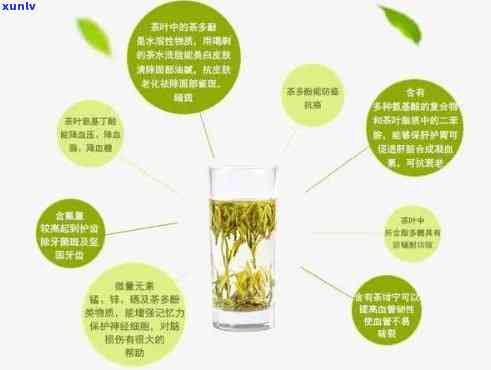 散清茶主要成分揭秘：你真的了解吗？