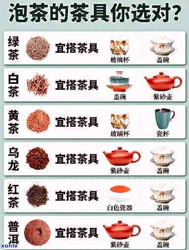 适合泡茶的杯子排行榜：前十名及图片全览