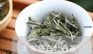 三年陈白牡丹茶价格，深度解析：三年陈白牡丹茶的价格走势与市场前景