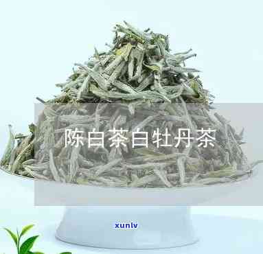 白牡丹陈茶，品味岁月沉淀，探寻白牡丹陈茶的独特韵味