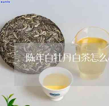 白牡丹陈茶，品味岁月沉淀，探寻白牡丹陈茶的独特韵味