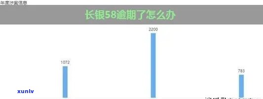 长银58逾期怎么办，解决长银58逾期疑问的有效  