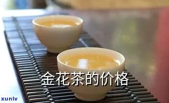 金花香橼茶价格多少-金花香橼茶价格多少钱一斤