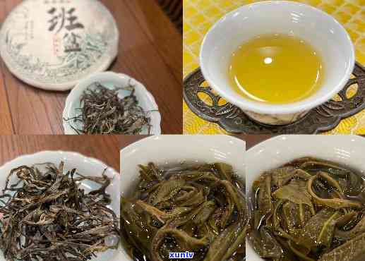 班盆印象老树茶普洱生茶，品味历，探索生活：班盆印象老树茶普洱生茶的韵味之旅