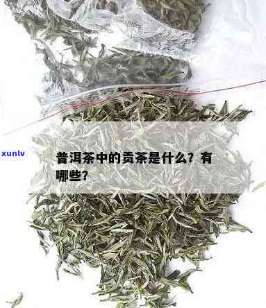 被称为贡茶的是什么茶种，揭秘贡茶：何种茶叶享有如此殊荣？