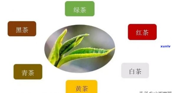 茶的特征性成分是什么？详解其含义与内容