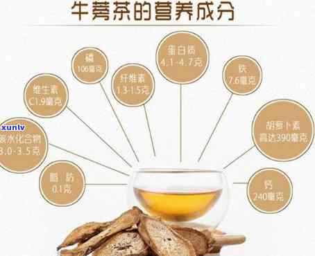 全面解析：牛蒡茶的性质、作用及特性