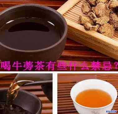 牛蒡茶的成分是什么-牛蒡茶的成分是什么呢