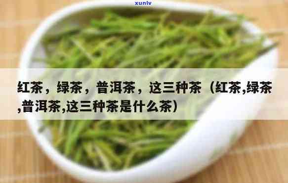 三根茶的三根是什么字，谜题解析：三根茶的三根是指哪个字？