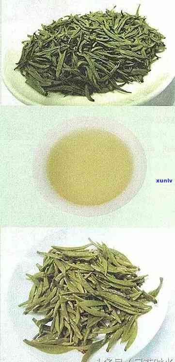 三根茶是哪三根，解密‘三根茶’：探究这三种茶叶的奥秘