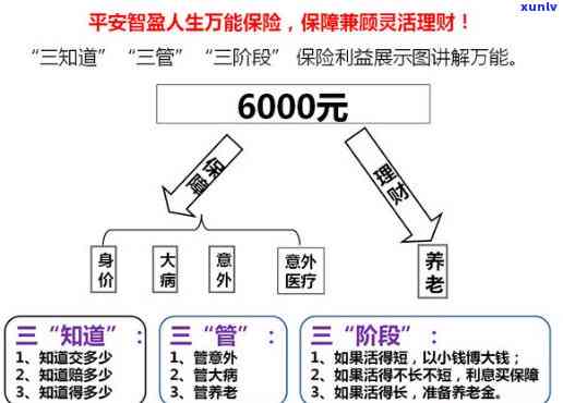 平安智赢人生逾期-平安保险的智赢人生到期后怎么办