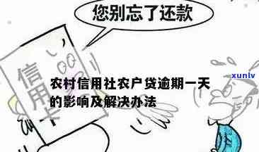 农村贴息贷款逾期怎么解决，逾期还款：农村贴息贷款的应对策略