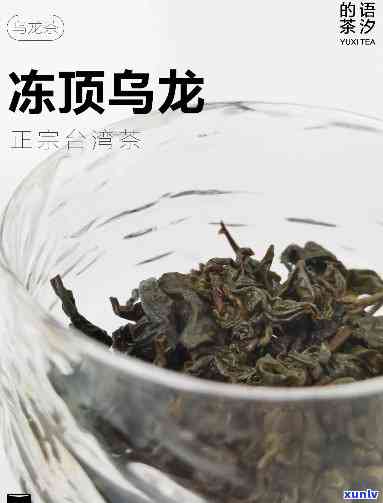 顶上皇冻顶乌龙价格-顶级冻顶乌龙茶多少钱一斤