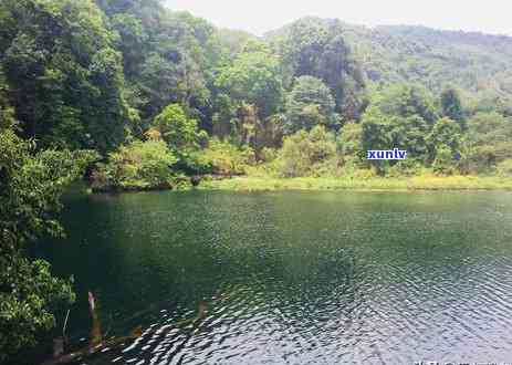 西盟佤山建设工程，打造美好未来，西盟佤山建设工程引领行业发展