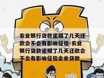 农村无息贷款逾期后还款，能否再次申请？