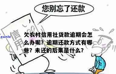 农村无息贷款逾期后还款，能否再次申请？