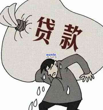 农村无息贷款逾期后还款，能否再次申请？