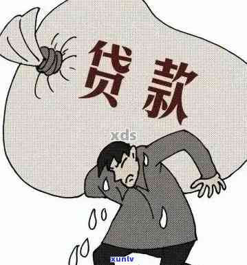 农村无息贷款逾期后还款，能否再次申请？