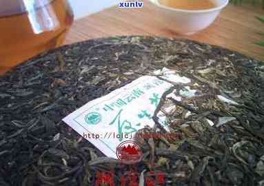 澜沧玉源古茶饼价格，《探秘澜沧江源头：古茶树的生态价值与古茶饼的价格》